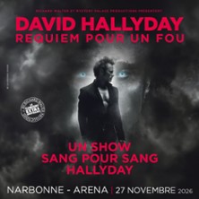 DAVID HALLYDAY REQUIEM POUR UN FOU