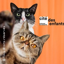 Cit&eacute; des Enfants 5-10 ans